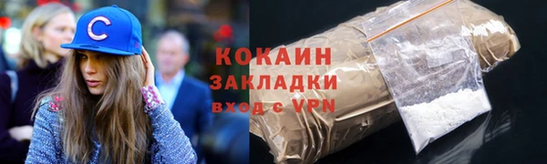 твердый Осинники