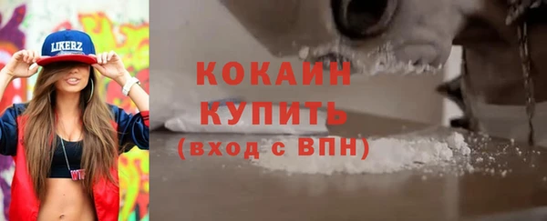 твердый Осинники