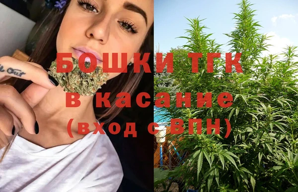 твердый Осинники