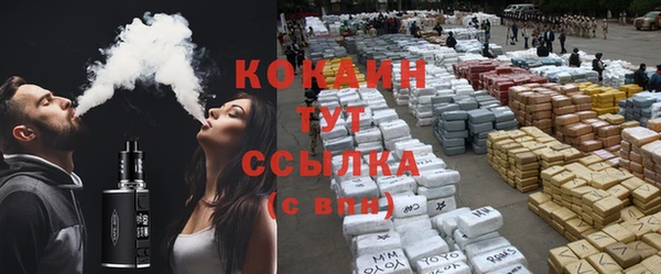 спиды Заречный