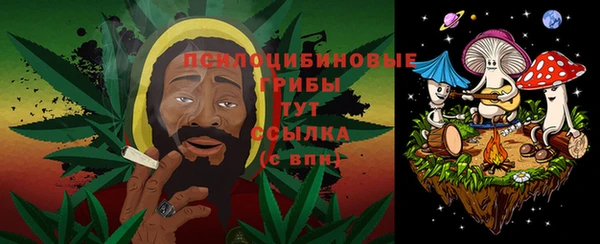 твердый Осинники