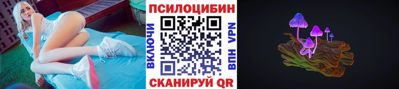 Галлюциногенные грибы мицелий  сколько стоит  Салехард 